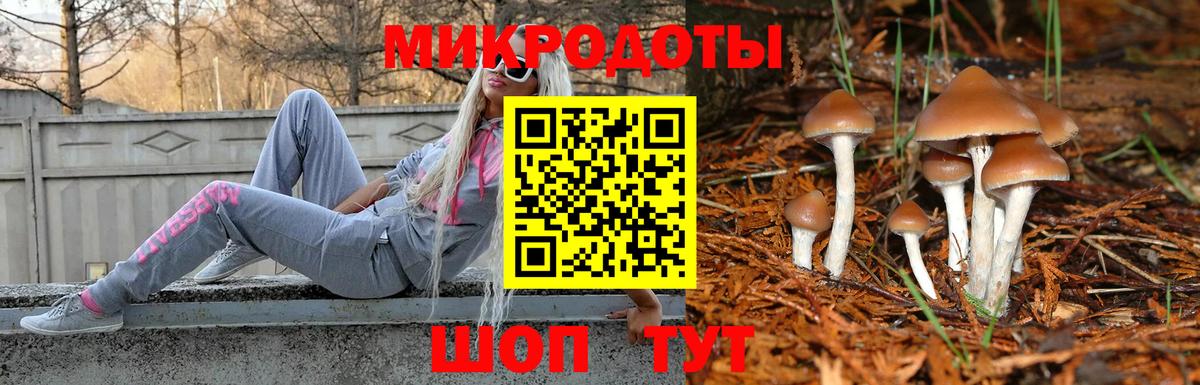 Метадон Партизанск